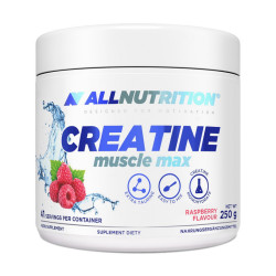 All Nutrition Creatine Muscle Max 250g