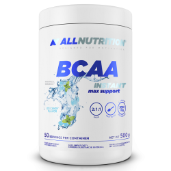 AllNutrition BCAA Instant Max Support 500g